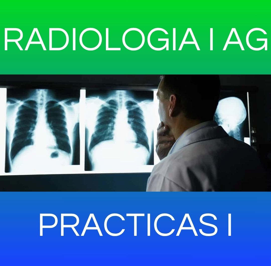 PRACTICAS I - RX I AG 2025