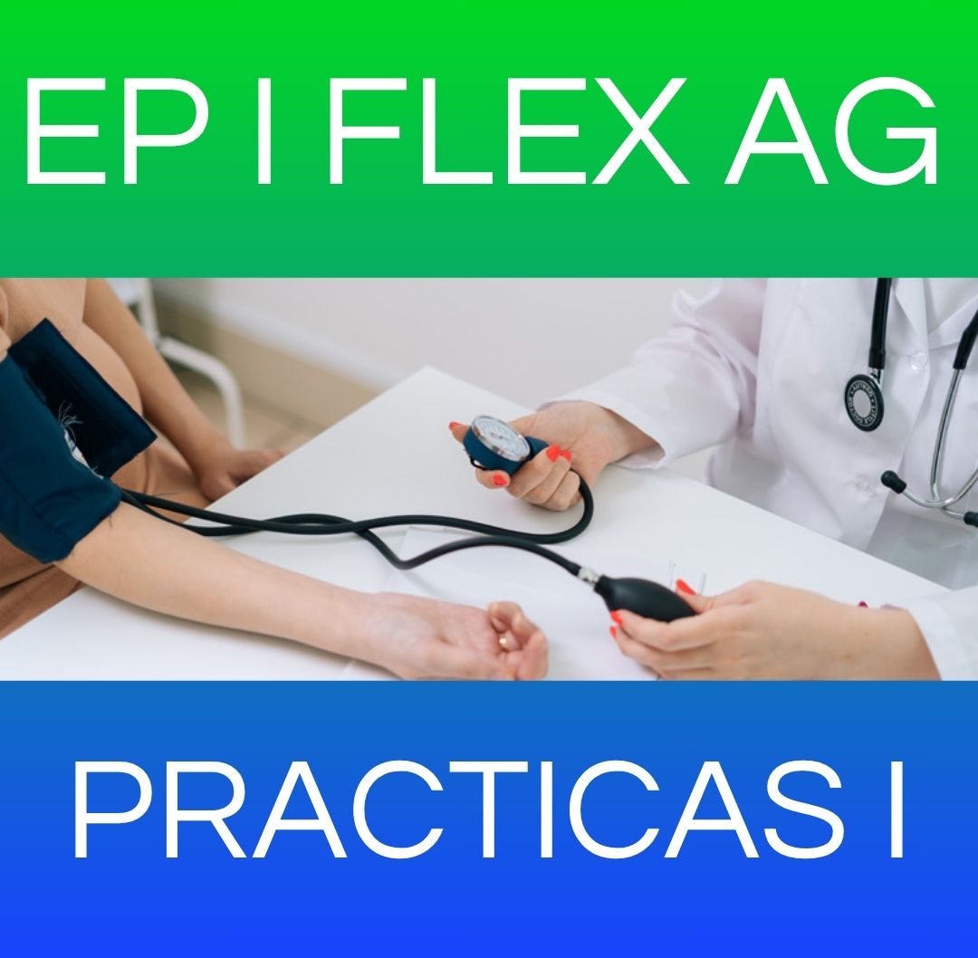 PRACTICAS I - EP I FLEX AG 2025
