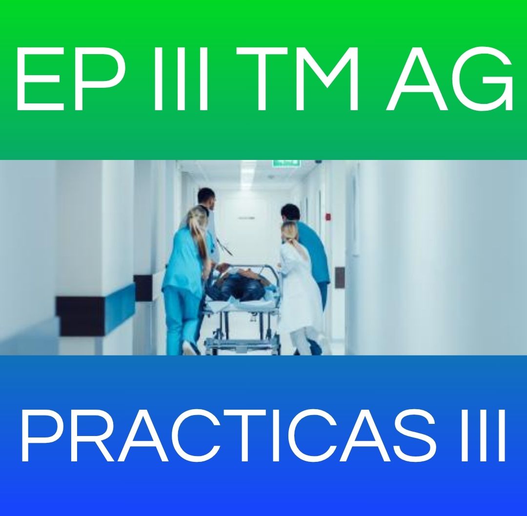 PRACTICAS III - EP III TM AG 2025