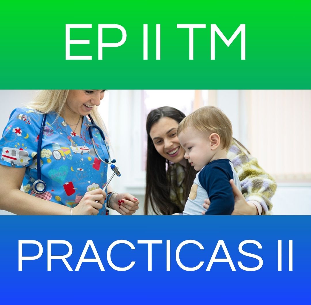 PRACTICAS II - EP II TM 2025