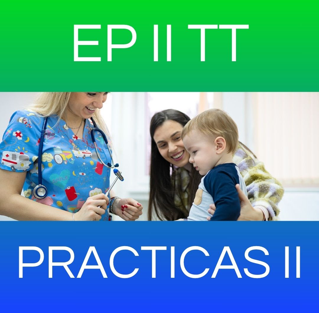 PRACTICAS II - EP II TT 2025