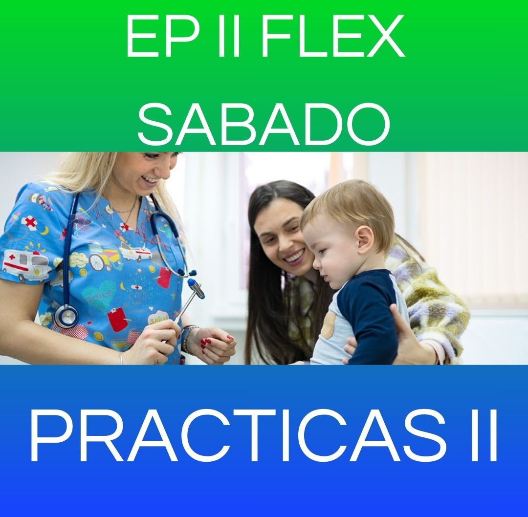  PRACTICAS II - EP II FLEX SABADO 2025