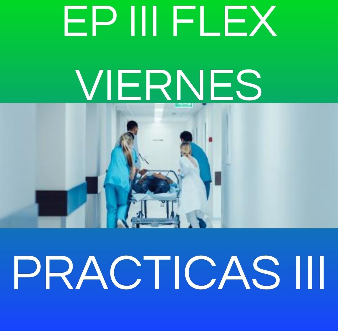 PRACTICAS III - EP III FLEX VIERNES 2026