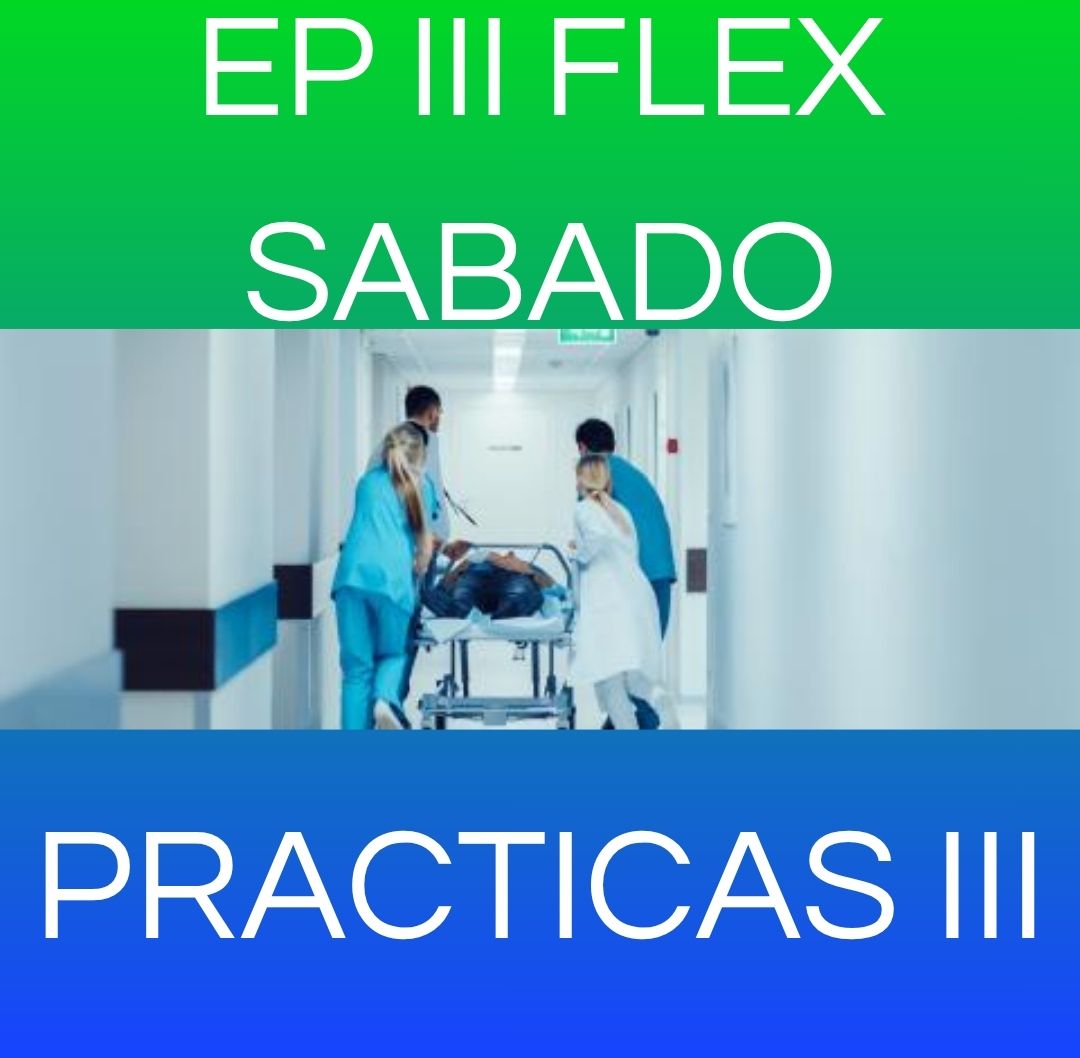 PRACTICAS III - EP III FLEX SABADO 2026