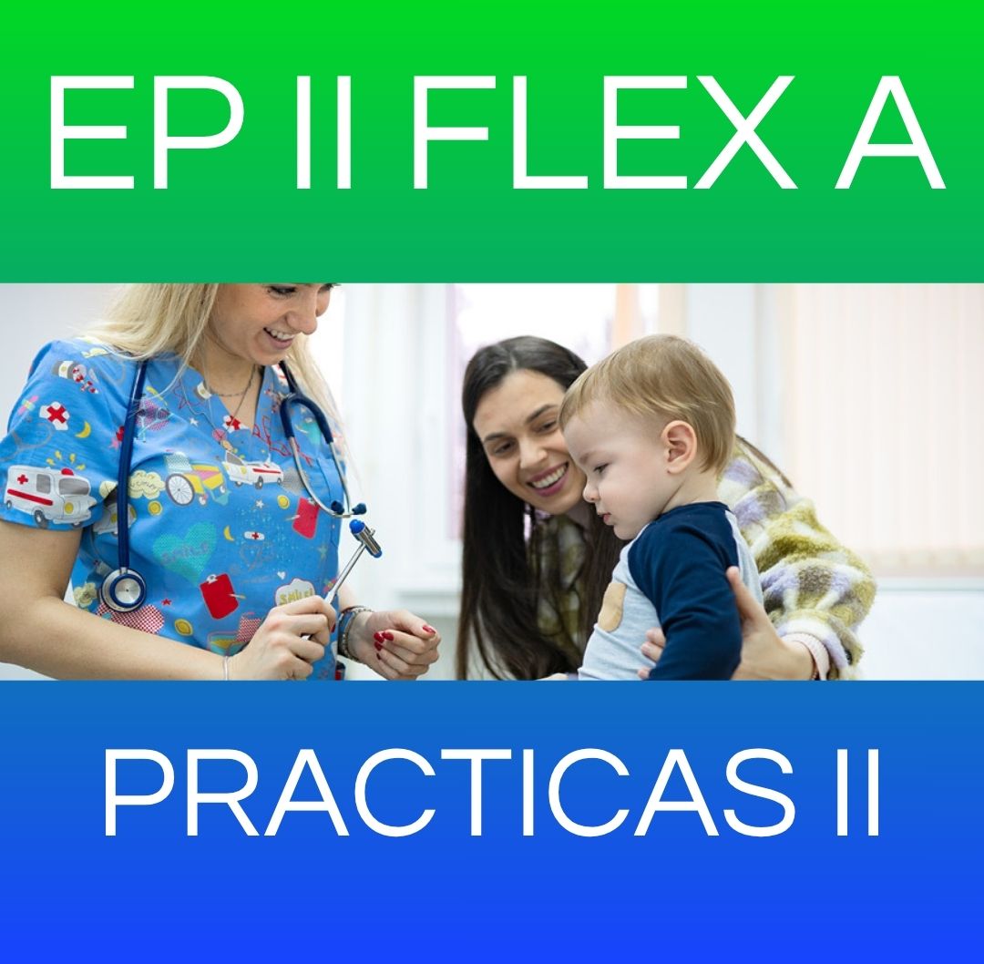 PRACTICAS II - EP II FLEX SABADO 2026