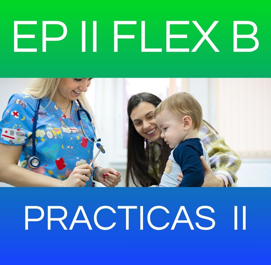 PRACTICAS II - EP II FLEX SABADO 2026 B