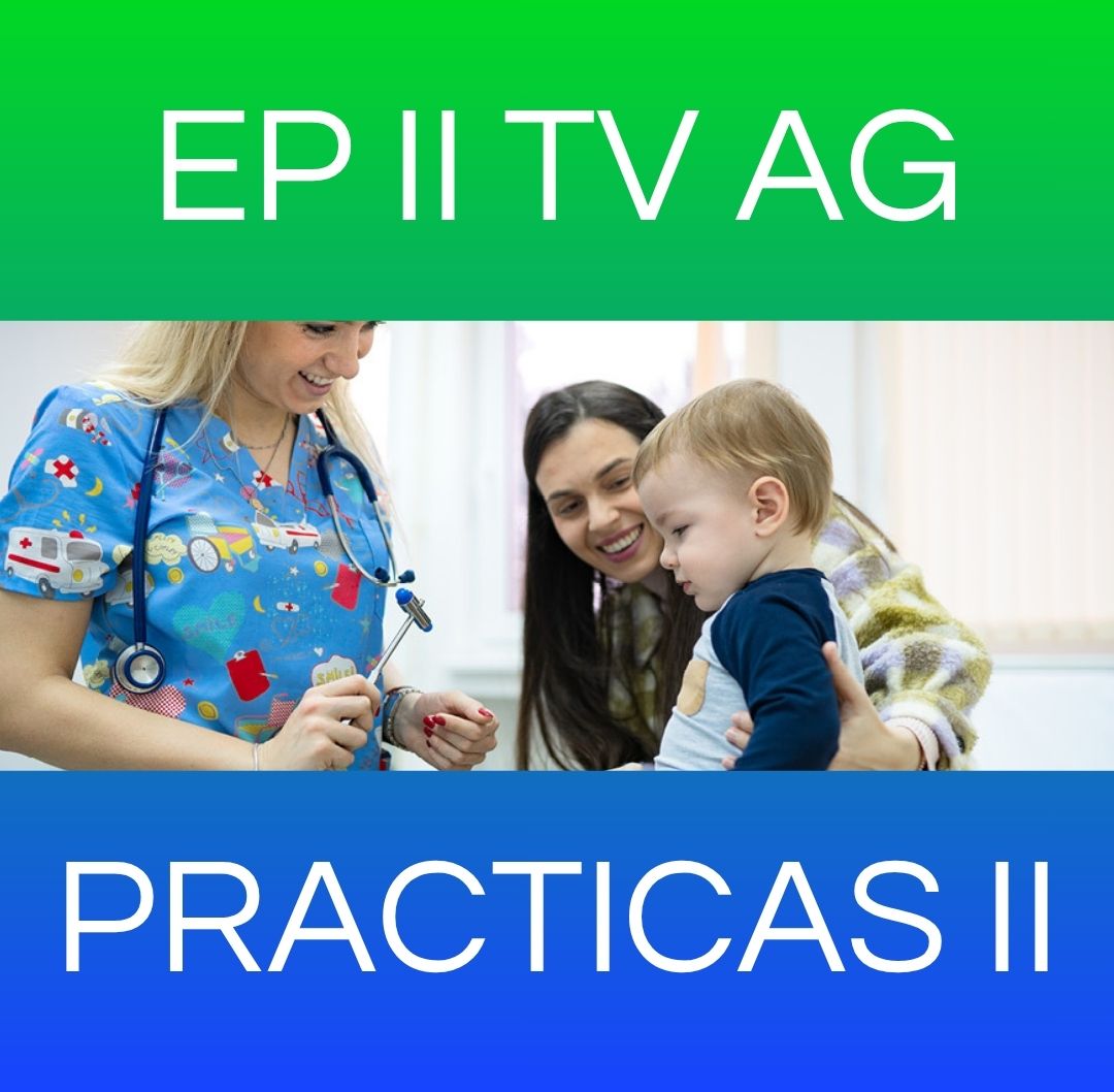 PRÁCTICAS II - EP II TV AG 2025 / 2026
