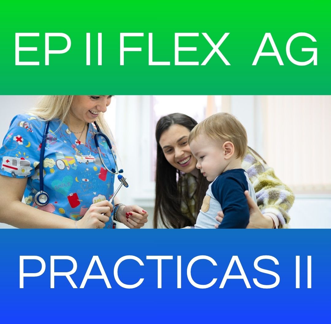 PRACTICAS II - EP II FLEX SAB AG 2025 / 2026