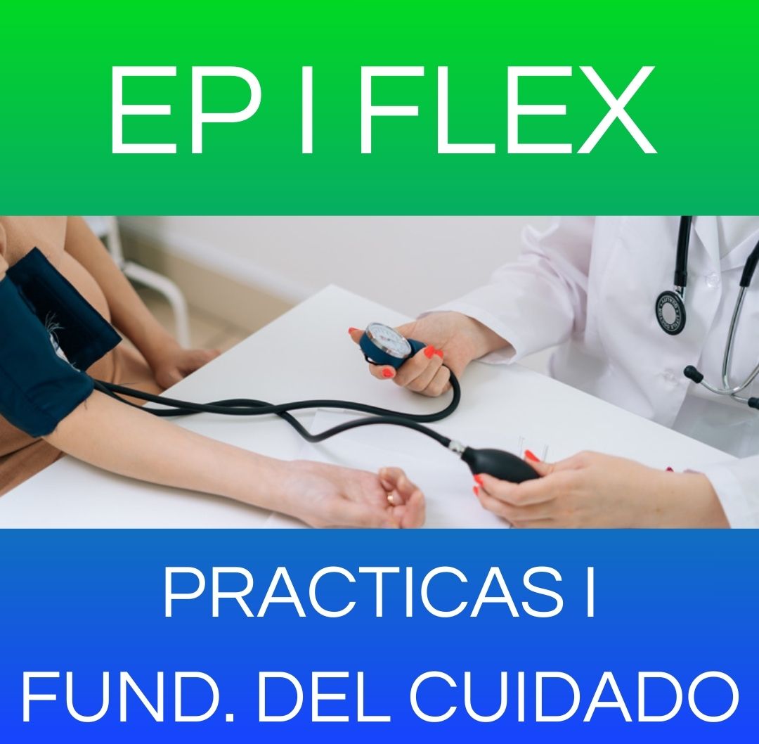 EP I FLEX SABADO 2026 - Práctica Profesionalizante I