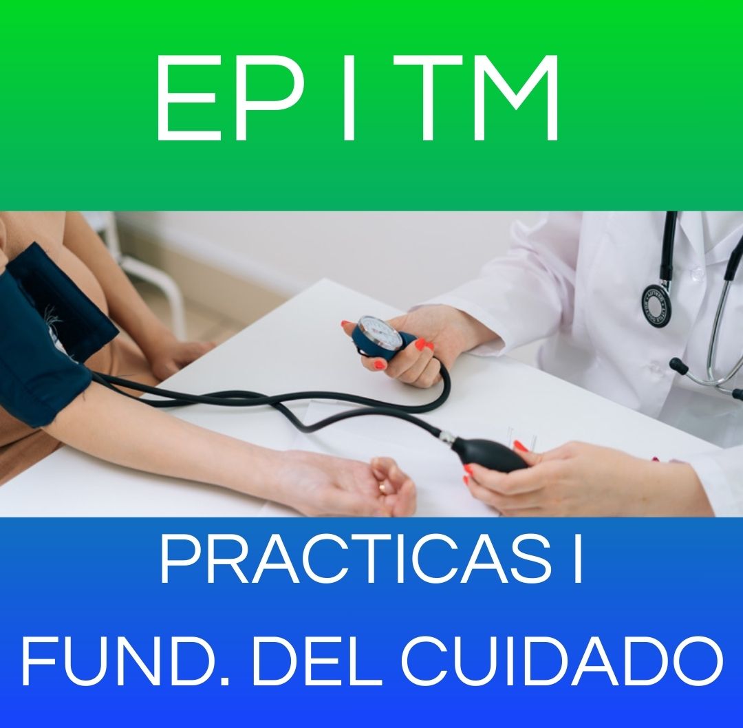EP I TM 2026 - Práctica Profesionalizante I