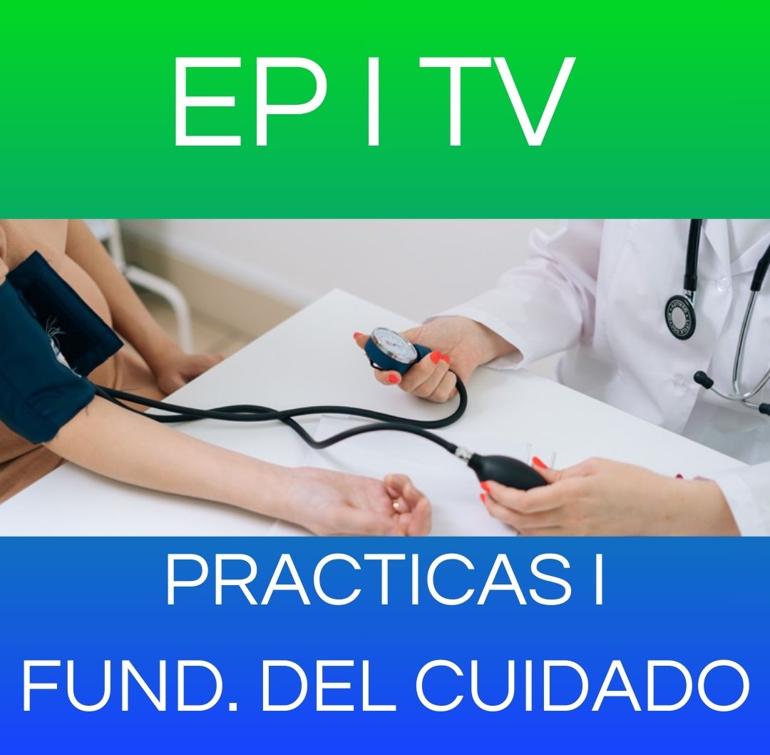 EP I TV 2026 - Práctica Profesionalizante I