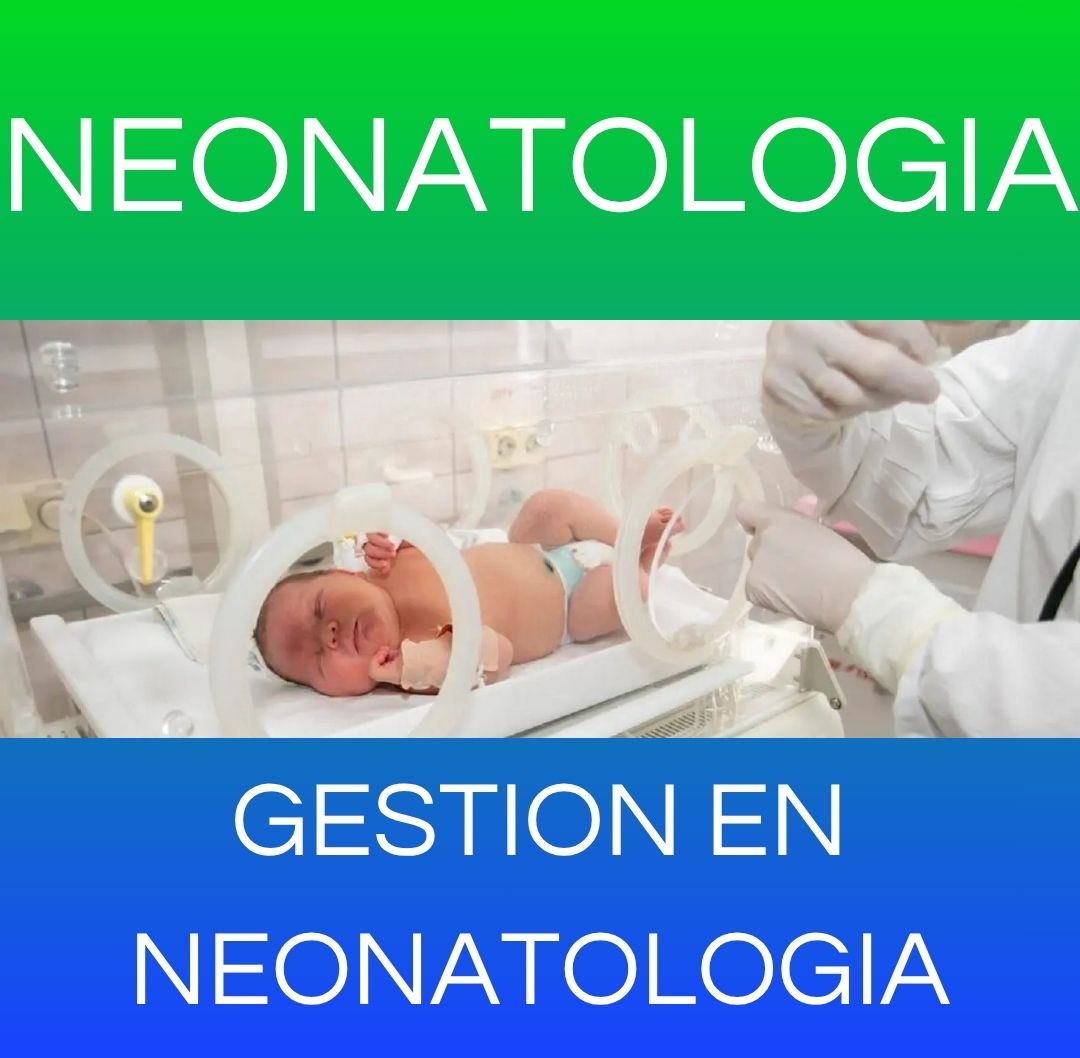 GESTION EN NEONATOLOGIA -  NEONATOLOGIA 2026