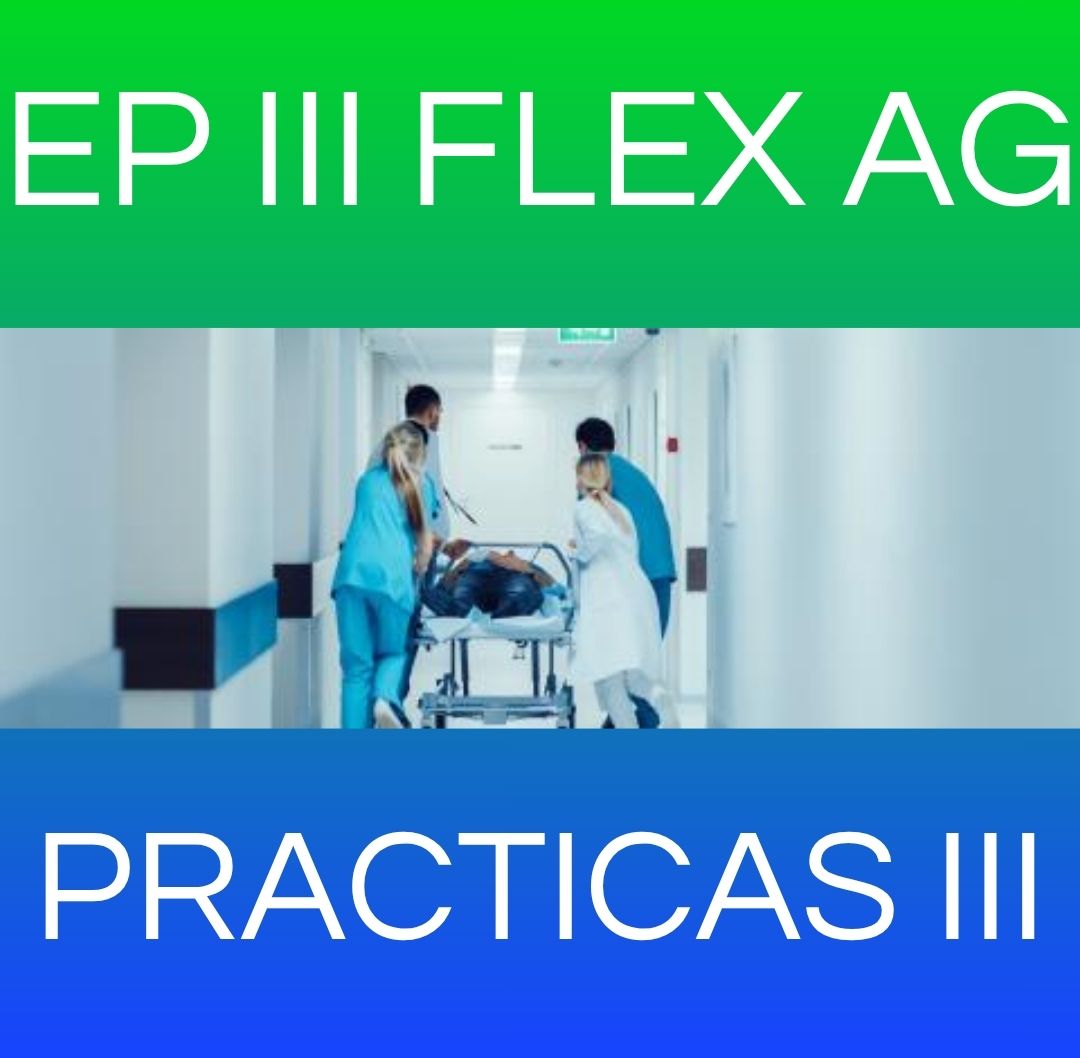 PRACTICAS III - EP III SAB AG 2026