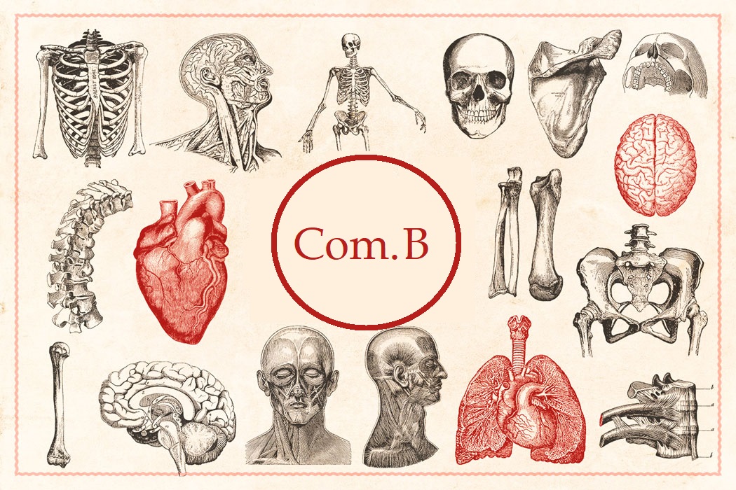 Biología