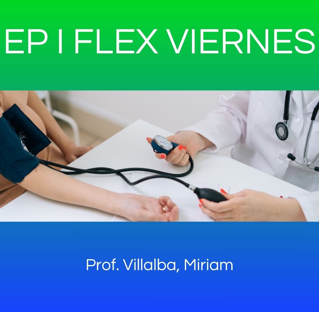 EP I FLEX VIERNES  - Práctica Profesionalizante I