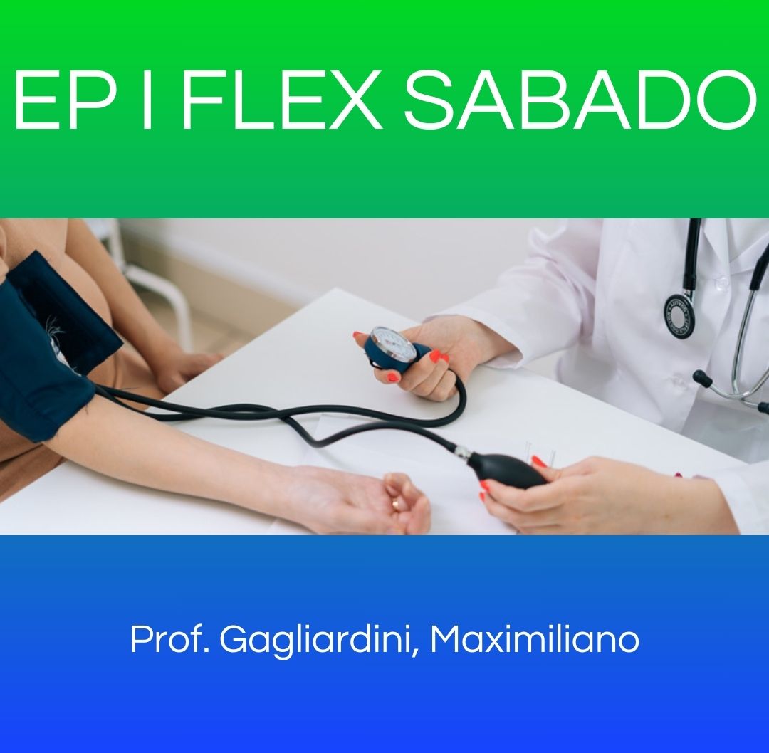 EP I FLEX SABADO - Práctica Profesionalizante I