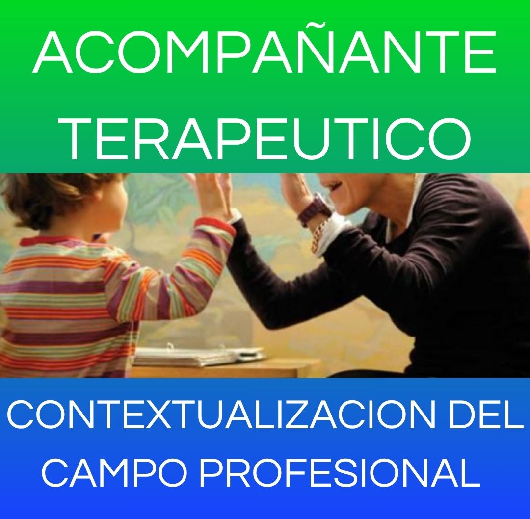 AT I - Contextualización del campo profesional del operador 2025